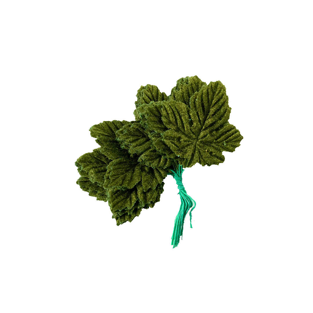 HOJA TERC. MOD. 200 C/100