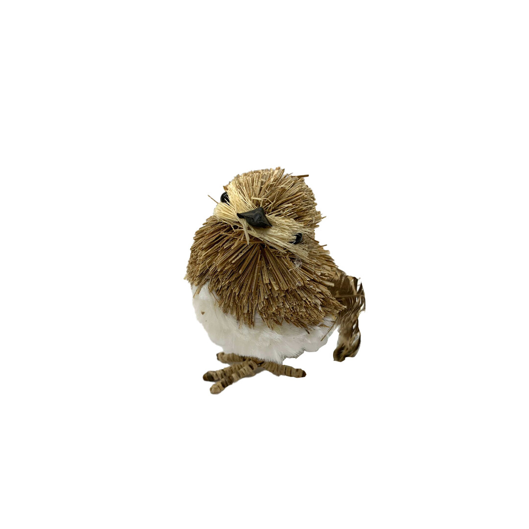 MPD00250 PAJARO PZ