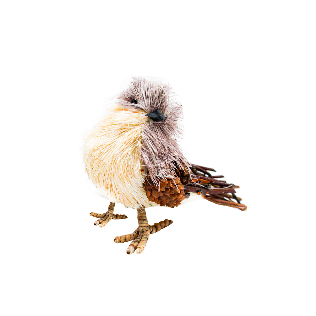 MPD00132 PAJARO PZ