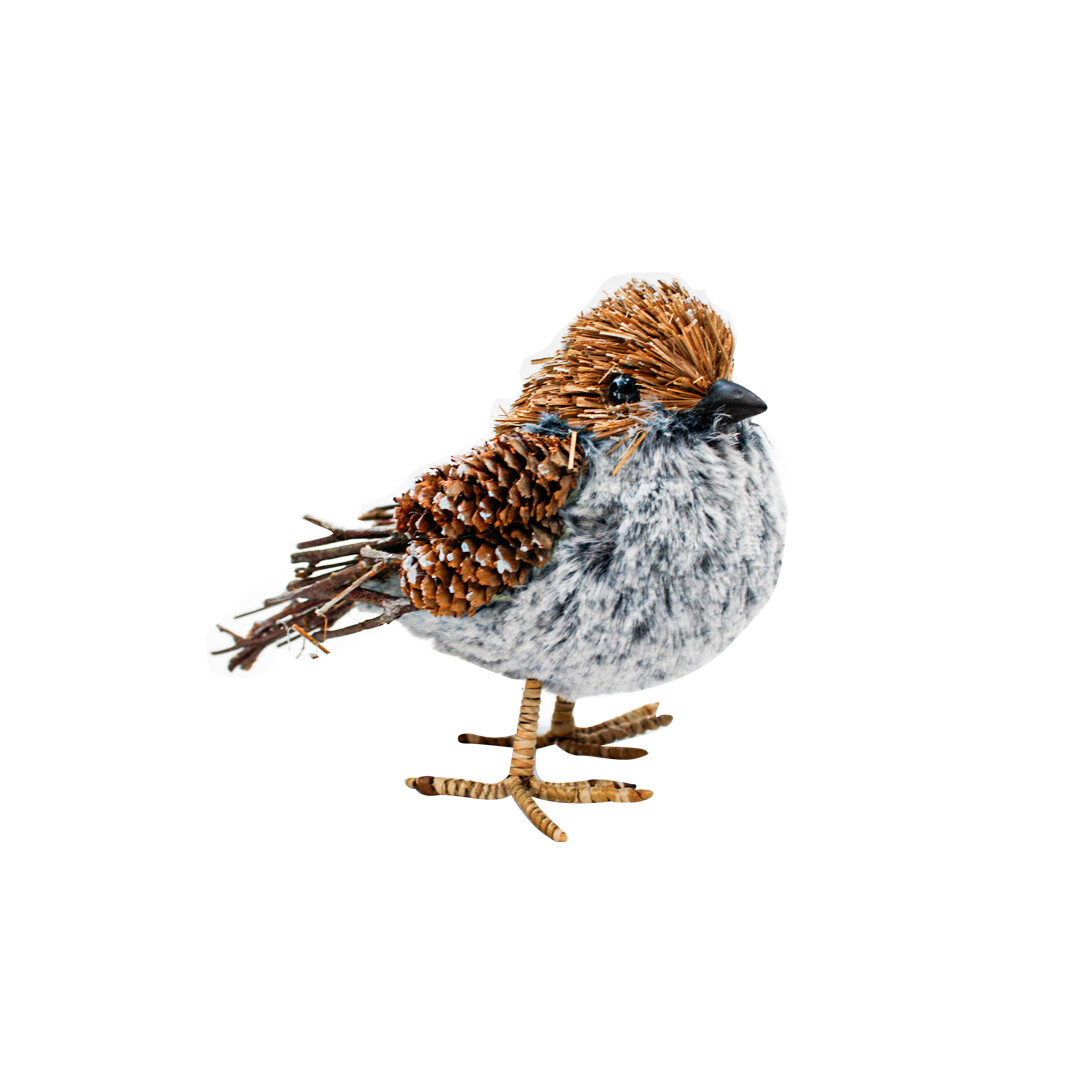 MPD00127 PAJARO PZ