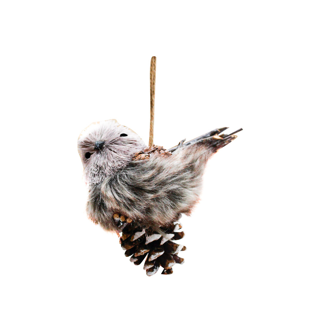 MPD00186 PAJARO PZ