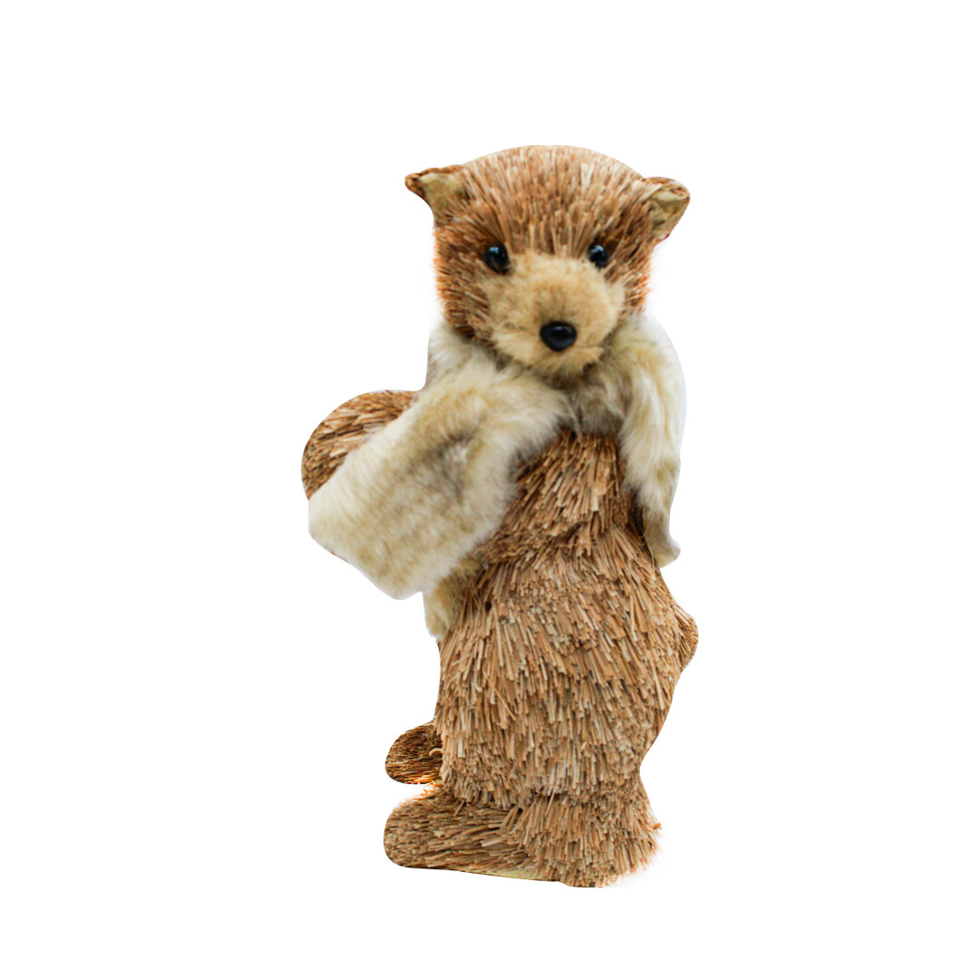 MPD00362 STARDING BEAR FUR PZ