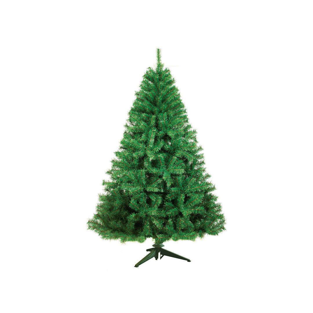 PINO ROYAL CANADA 360 CM PZ