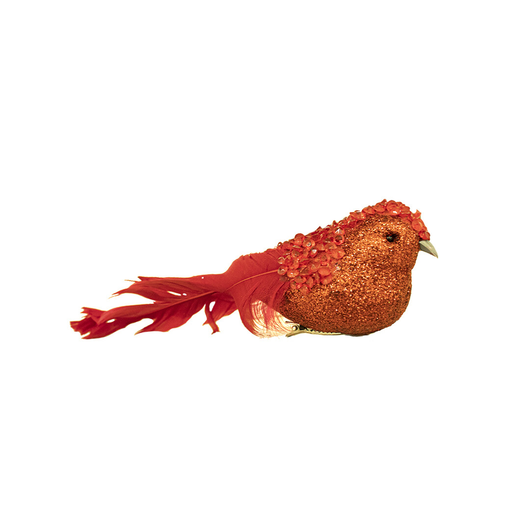 CCY0009 PAJARO 23X6X5.5 PZ