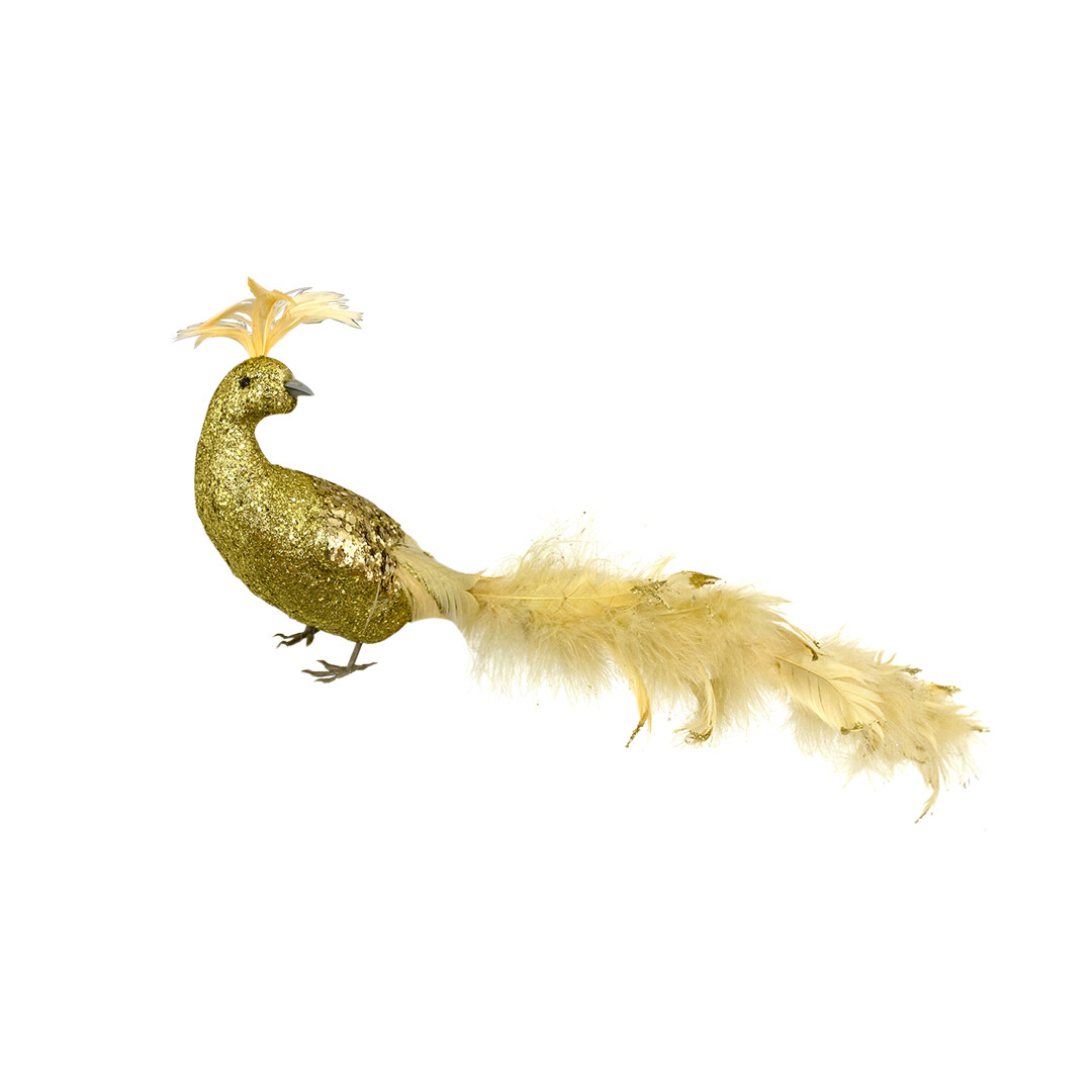 CCY0005 PAVO REAL 56X7X10 PZ