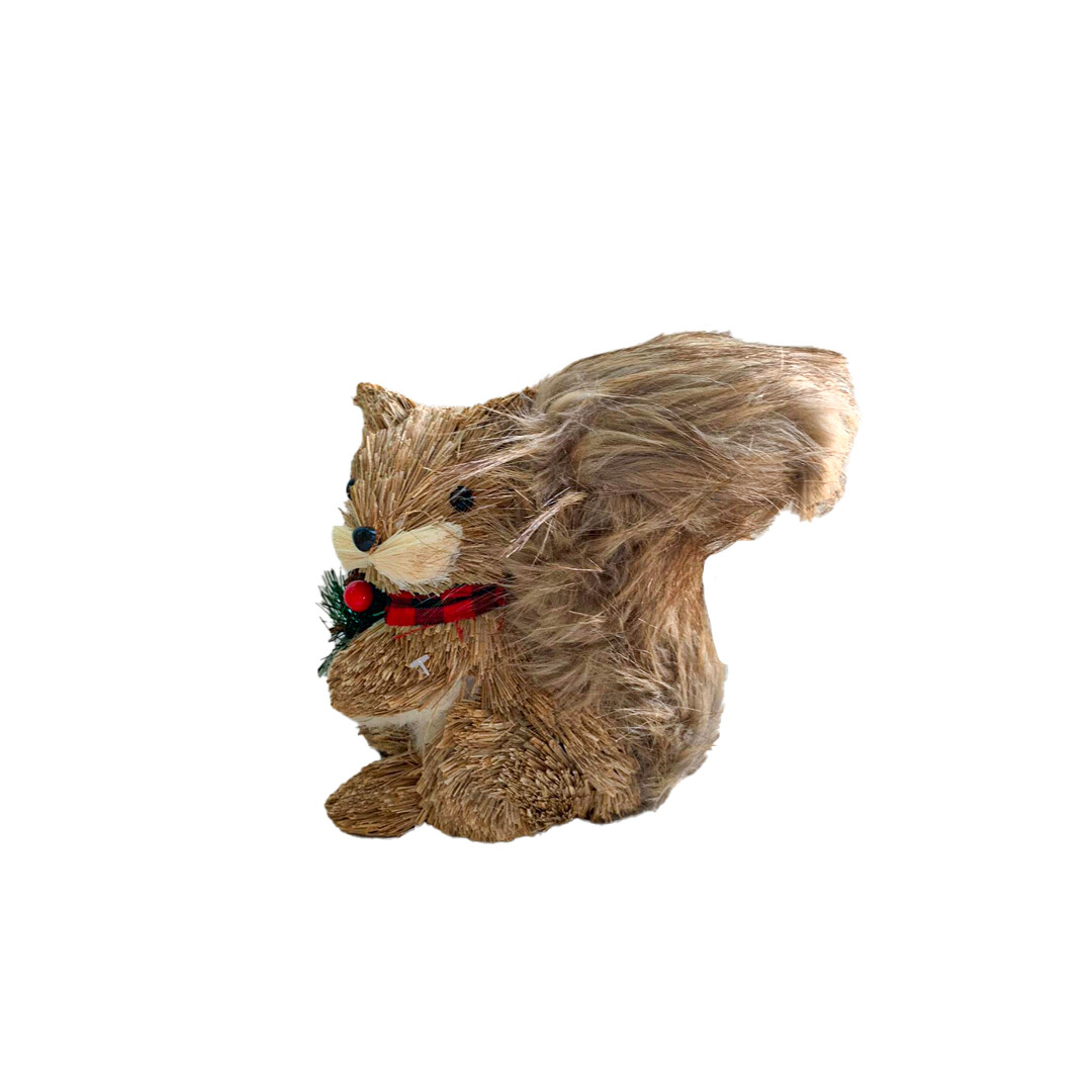 MPD00666 ARDILLA 12X22X22CM PZ