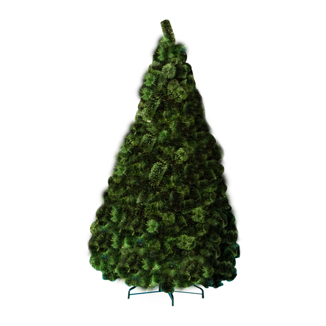 PINO VERONA 300 CM PZ