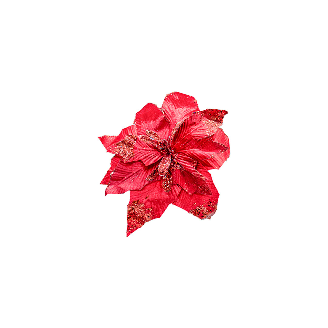 FLA00416 FLOR PZ