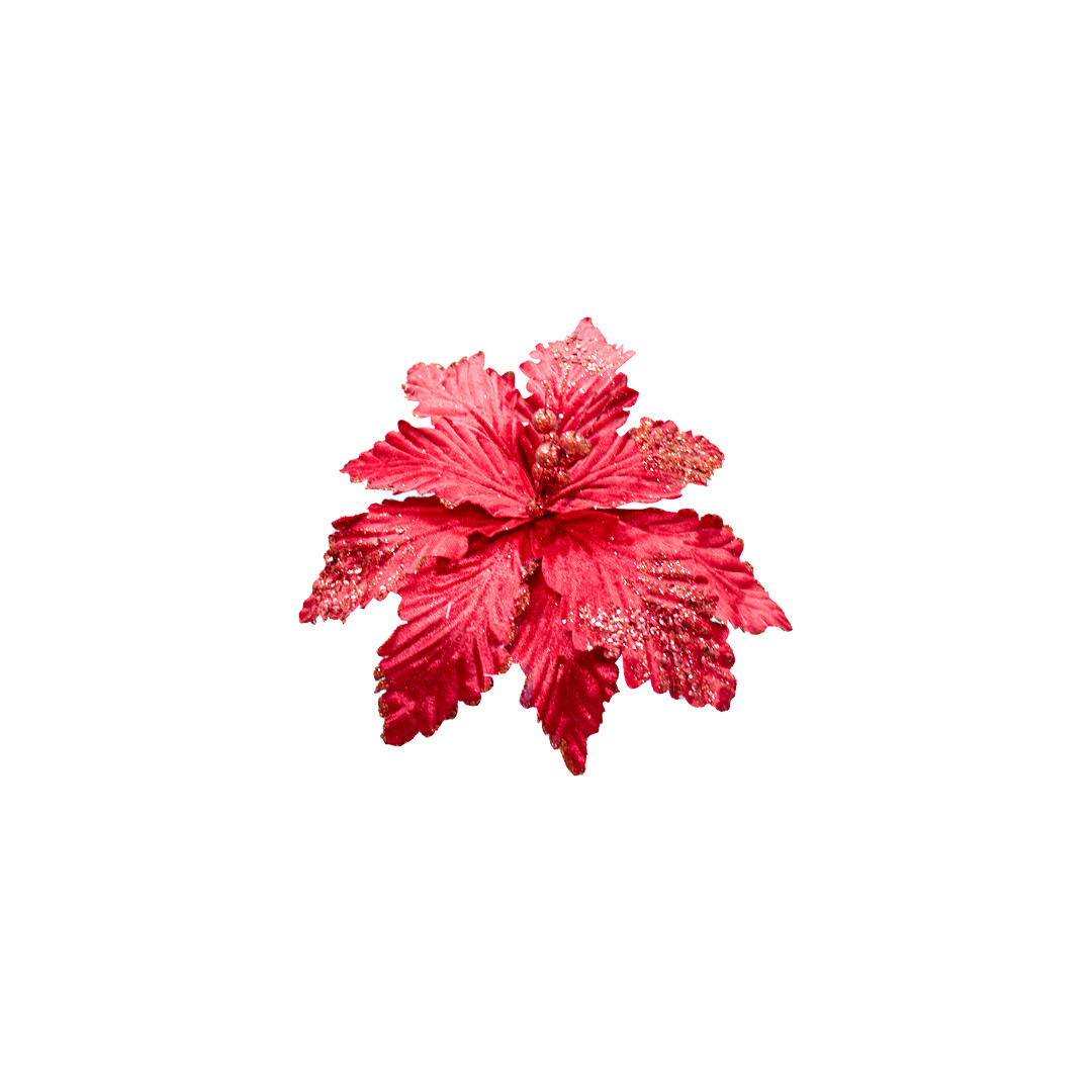 FLA00487 FLOR PZ