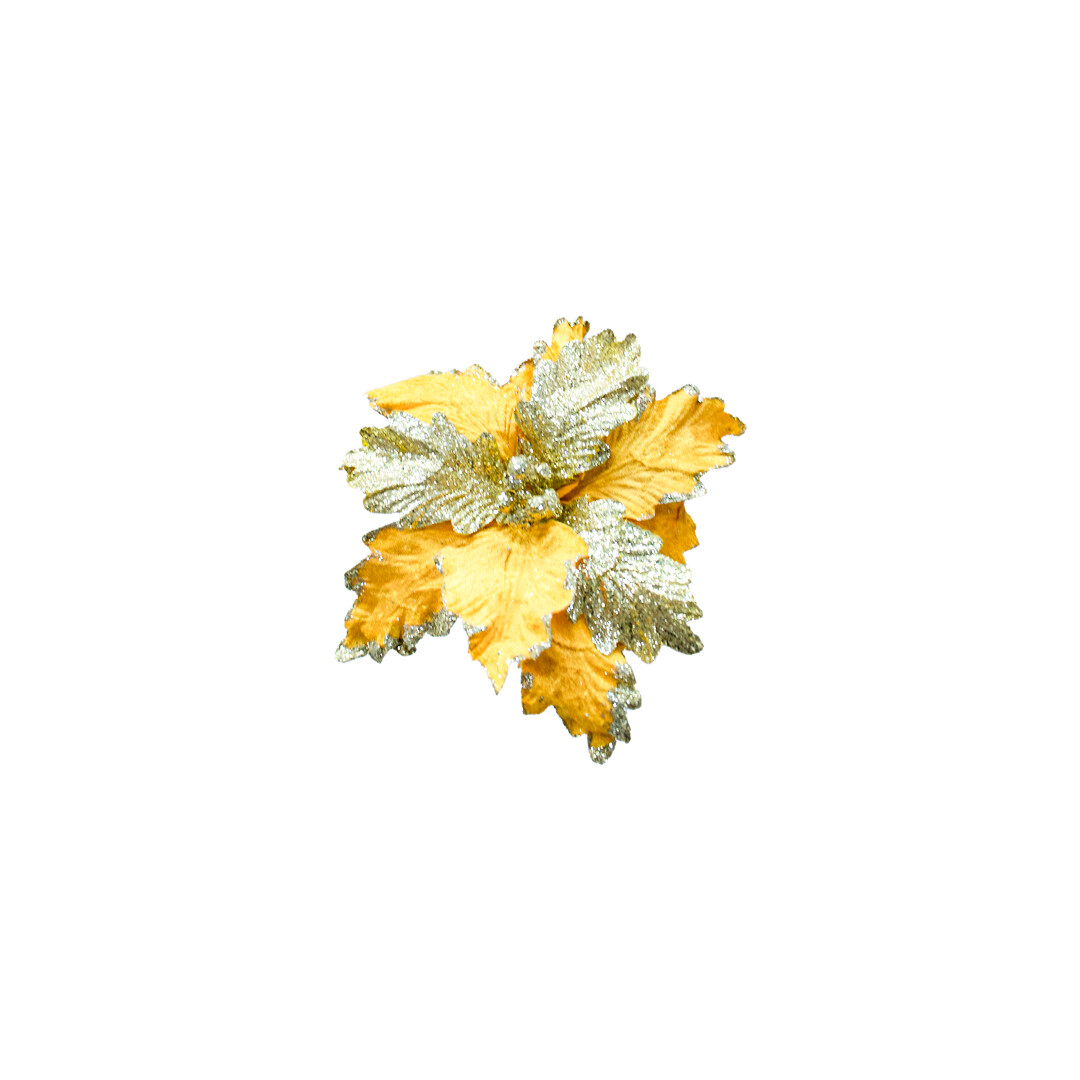 FLB00331 FLOR PZ