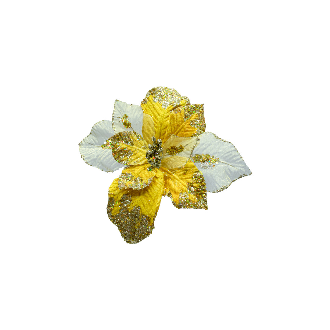 FLQ01522 FLOR PZ