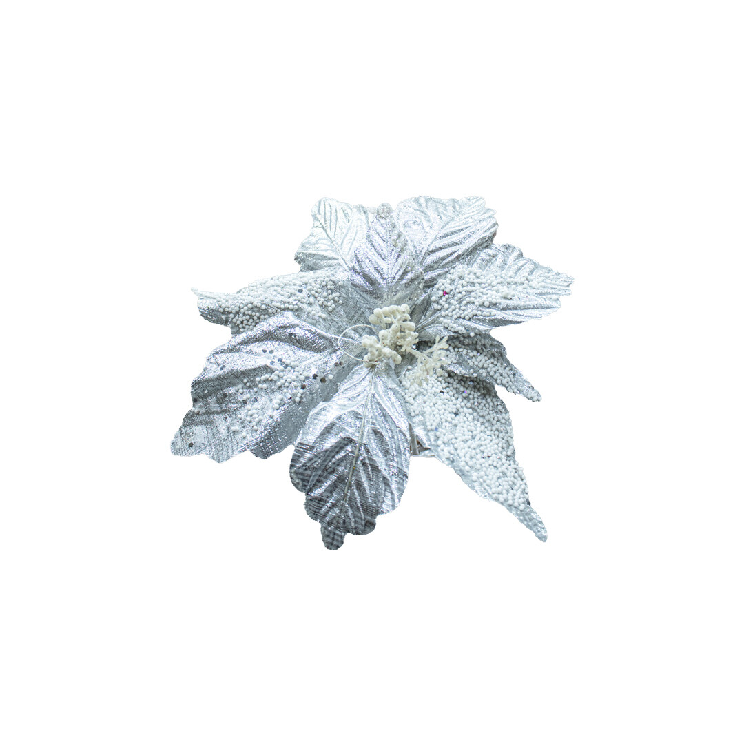 FLQ01826 FLOR PZ