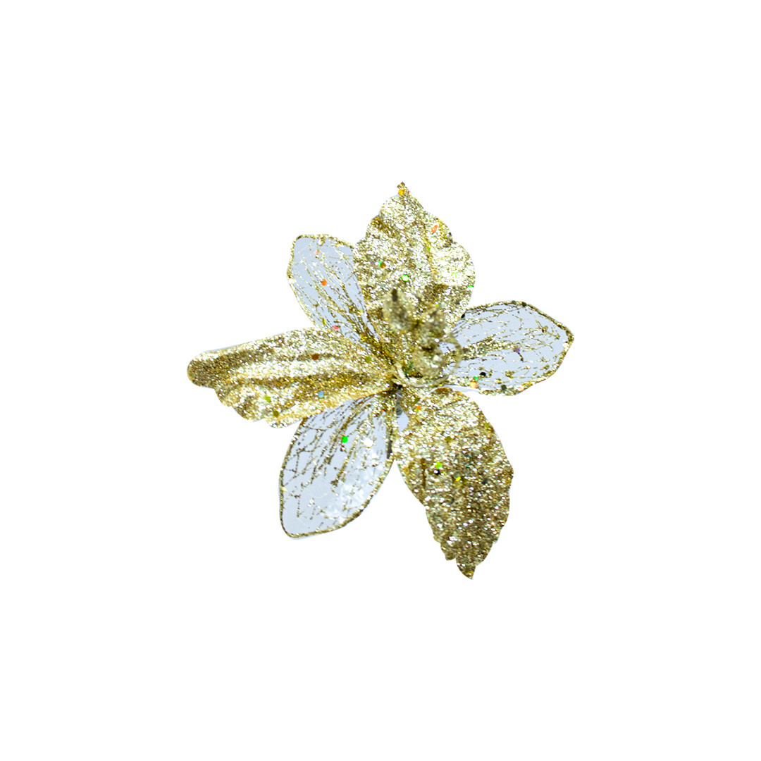 FLQ02787 FLOR PZ