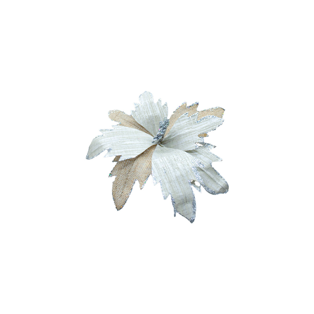 FLQ05201 FLOR PZ
