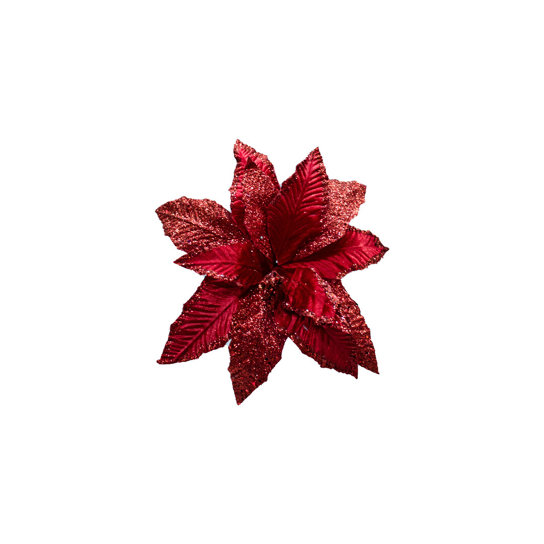 FLQ07008 FLOR PZ
