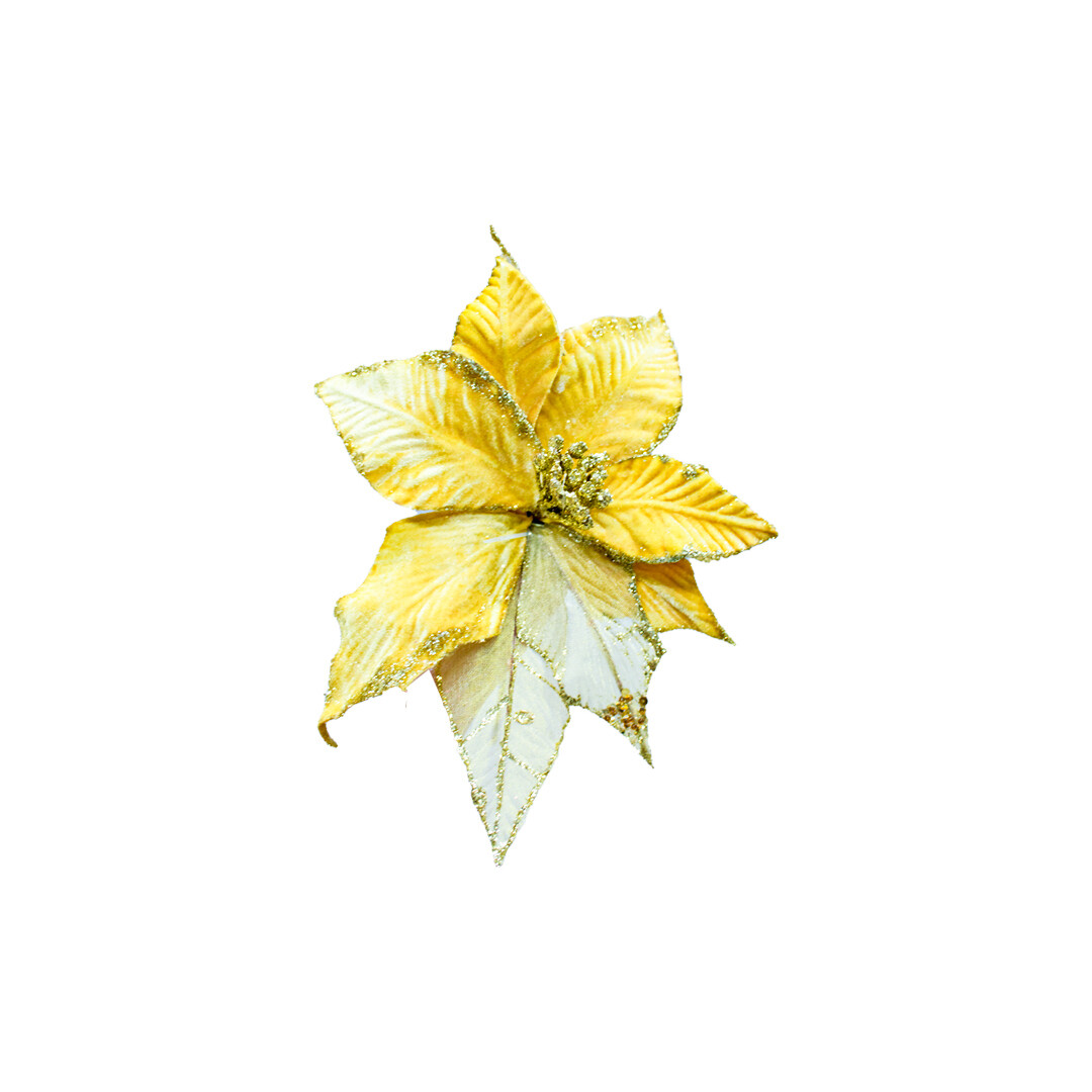 FLQ05977 FLOR PZ