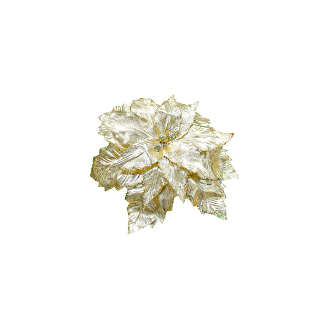 FLQ07136 FLOR PZ
