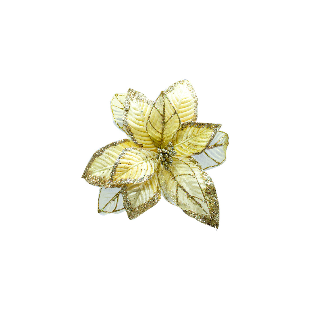 FLQ05992 FLOR PZ