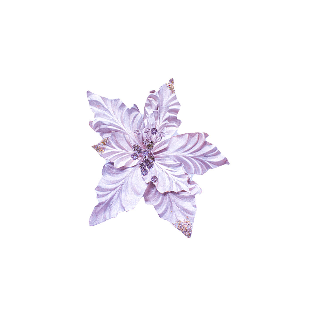 FLQ07072 FOAM FOMY PZ