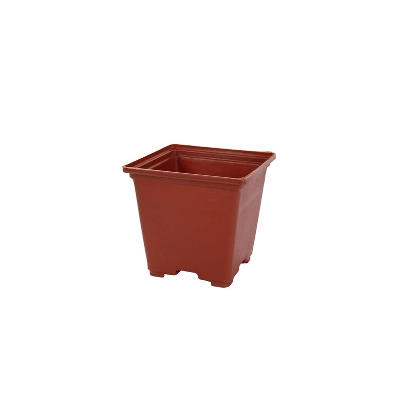 5297 MACETA DE PLASTICO 6.7CM PZ