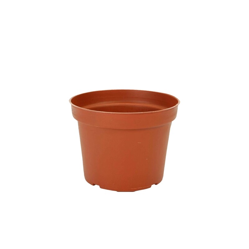 3900 MACETA DE PLASTICO 11.5X15CM PZ