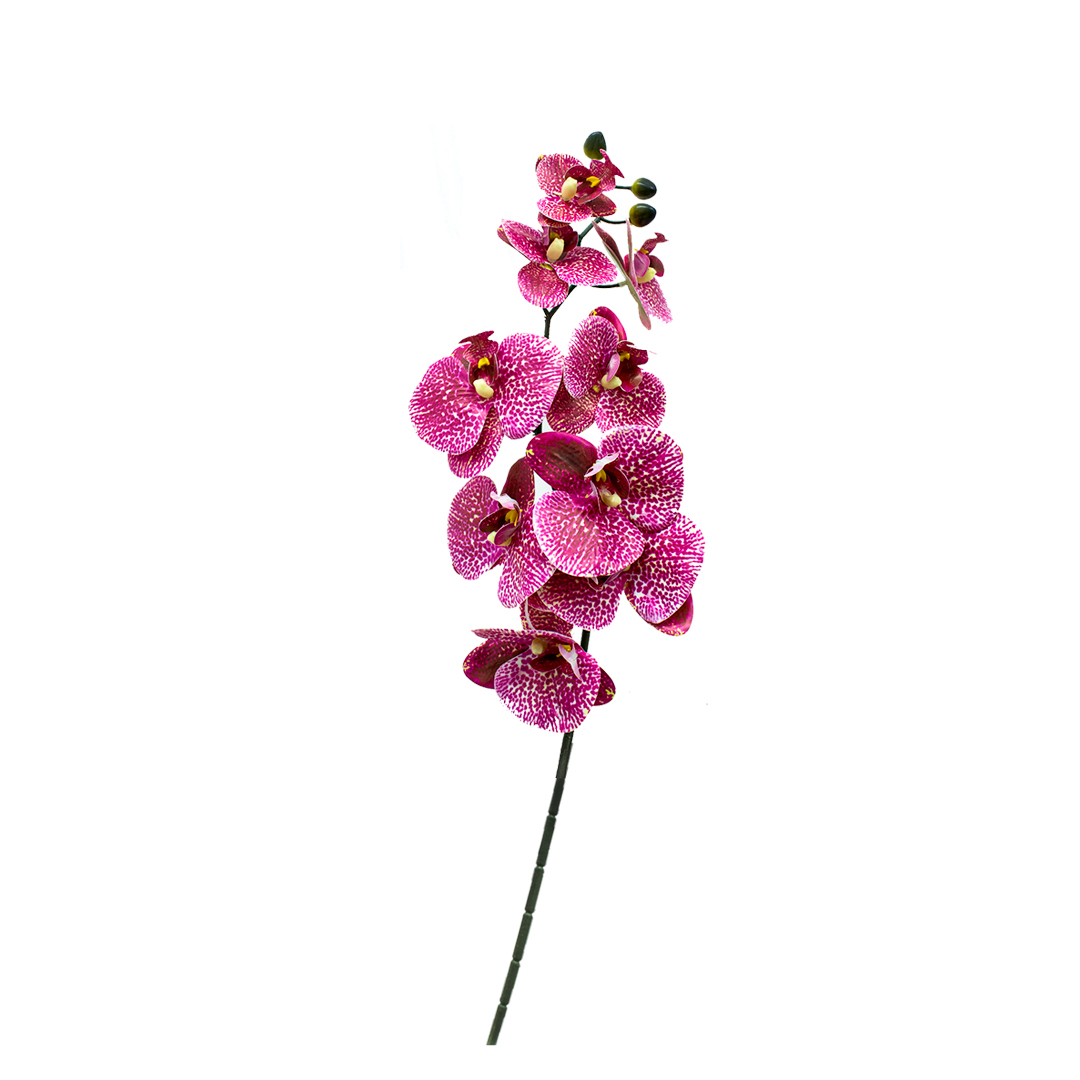 GL1-11512 VARA DE ORQUIDEA X1 PZ