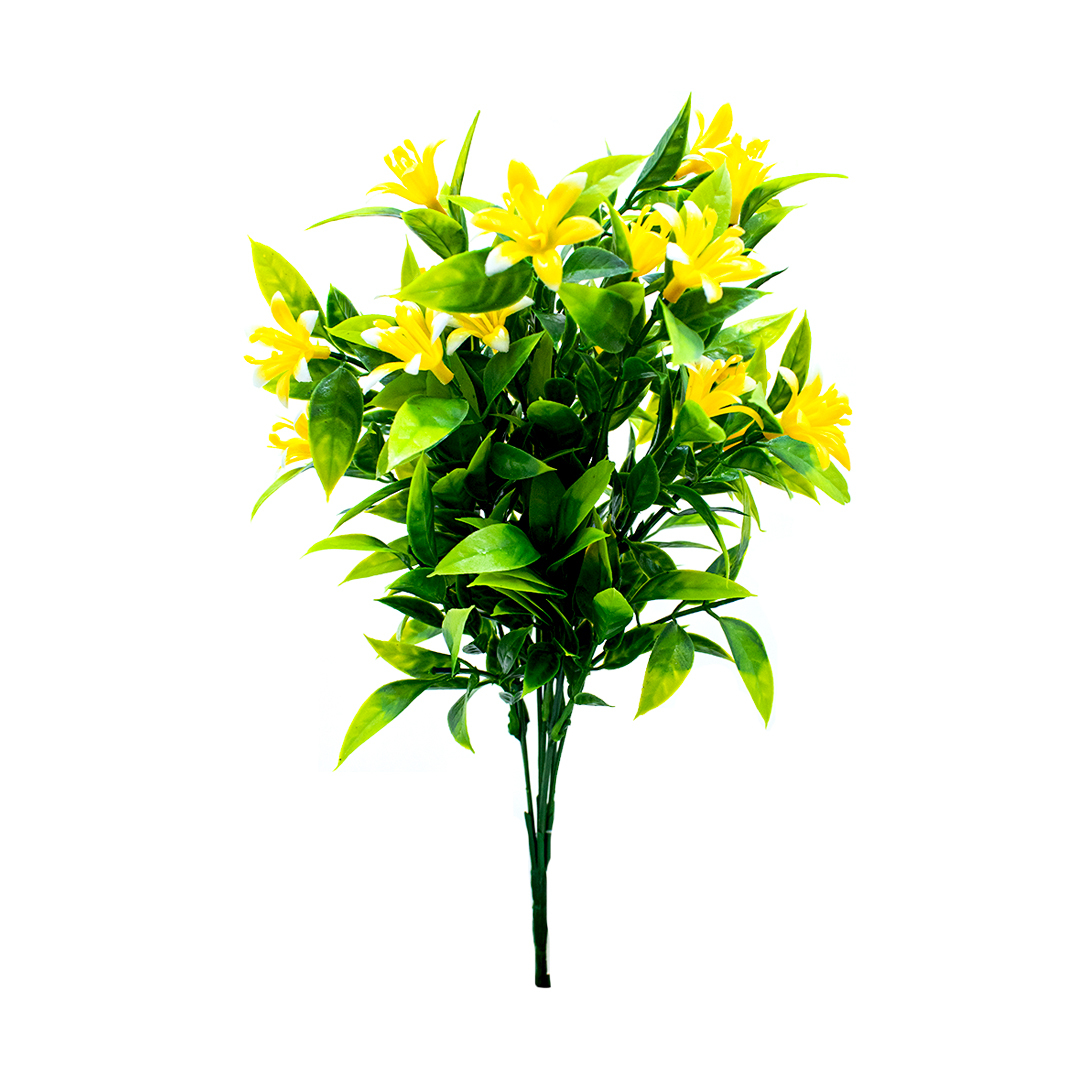 GL7-11527 RAMO CIMBIDUM X7 PZ