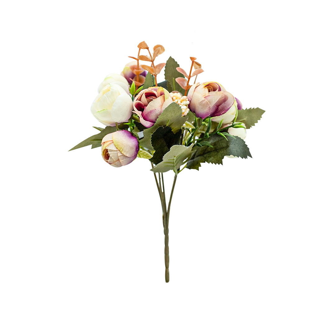 KA-815X5A RAMO LOTUSX5 C/12 PZ