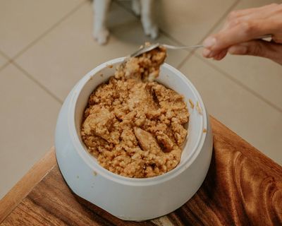 Wet Food (Canned)