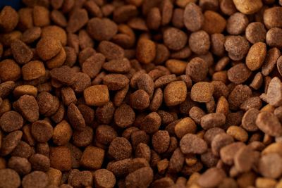 Kibble