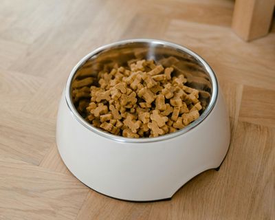 Dog Food