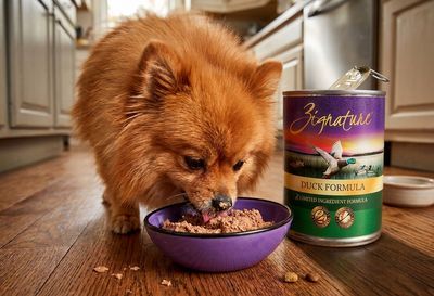 Wet Food (Canned)