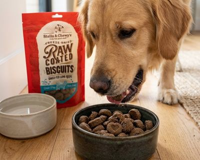 Treats