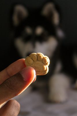 Dog Treats