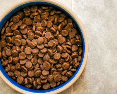 Kibble