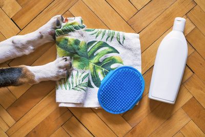 Grooming / Hygiene Items