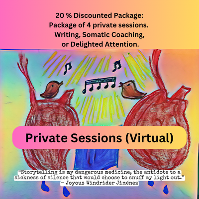 Bundle Package: One Month of Weekly Private (Virtual) Sessions -  20% off