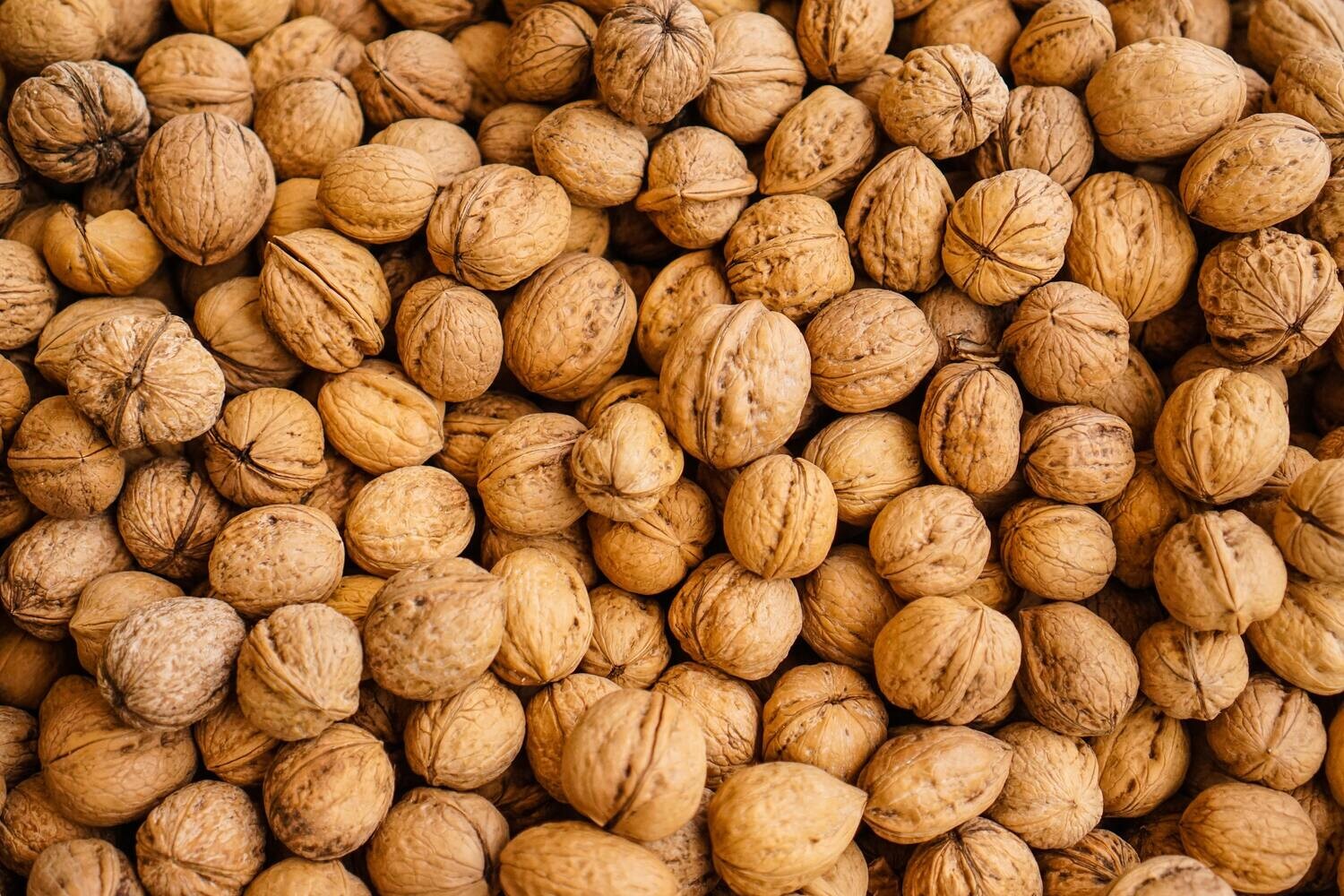 18 lb In Shell CHANDLER Walnuts | Unbleached | PRE-ORDER PRICING ONLY