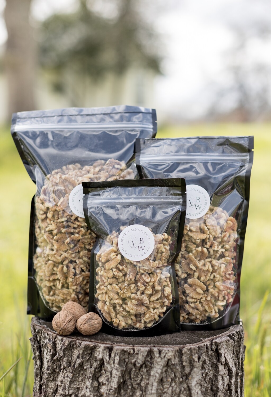 Wholesale Walnuts | Case of 8oz Chandler Light Halves and Pieces (10 CT)