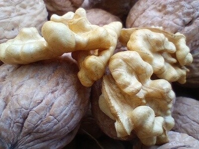 Northern California and San Francisco Bay Area Walnut Deals