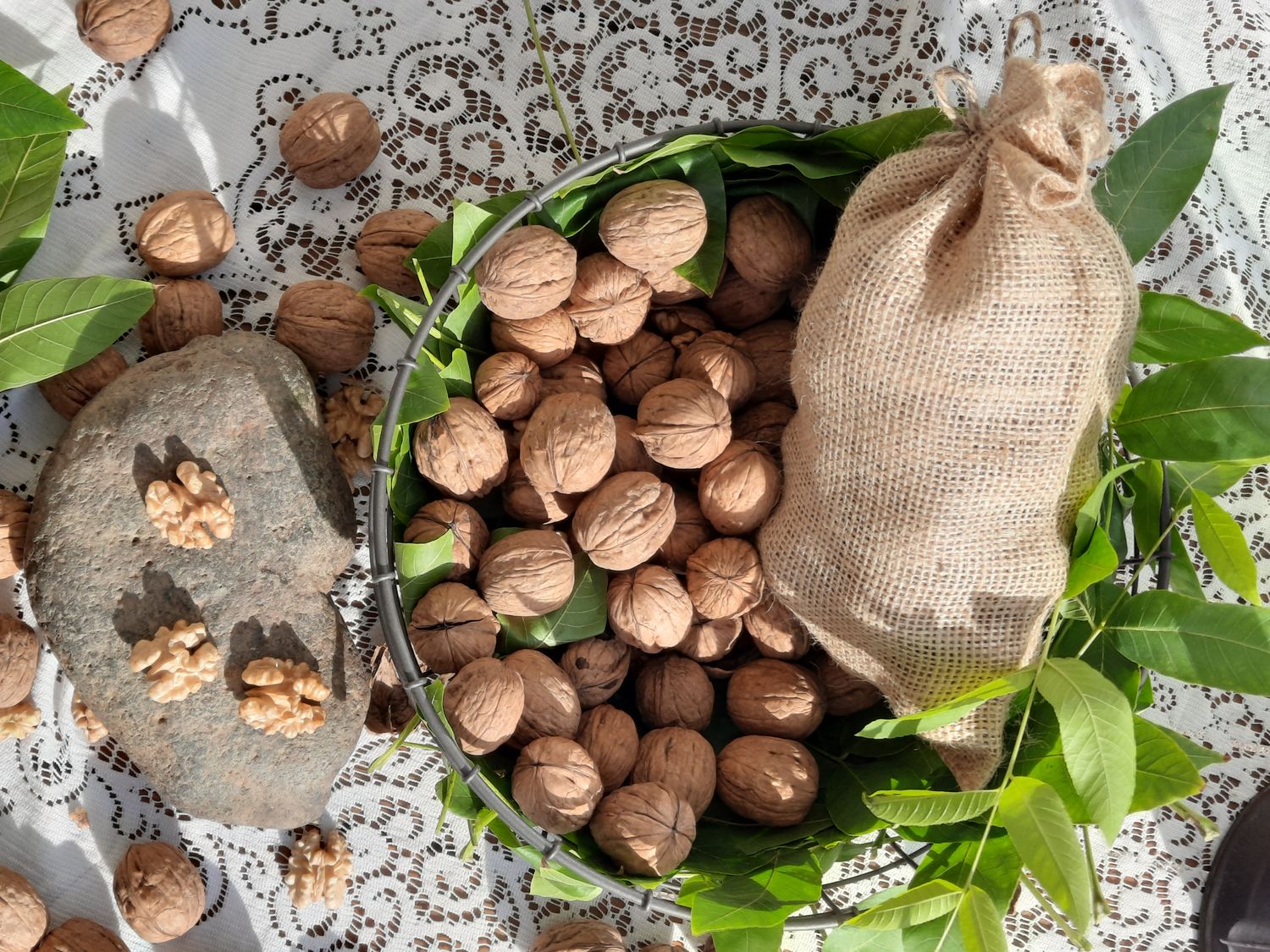 Get notified when our walnuts are ready to be ordered | Free &quot;Order&quot; That Adds Your Contact Info to Our List