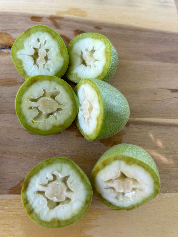 Fresh Green ENGLISH Walnuts | 5.5lbs (Estimated  40-77 nuts)