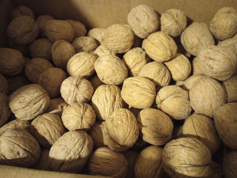Organic Chandler Walnuts | Ambient Air Dried, Hand Picked | Ships By Early Novembers 2025 After Walnut Harvest