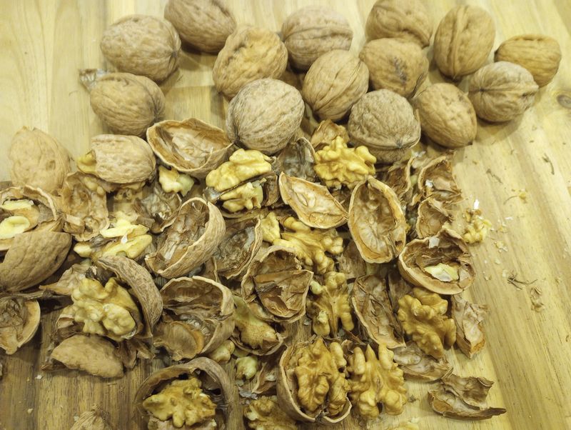 8lb In Shell Walnuts | NOT CERTIFIED, but unsprayed | Mix of Hartley and Chandler Walnuts from my 10 Year Old Son's "Orchard"