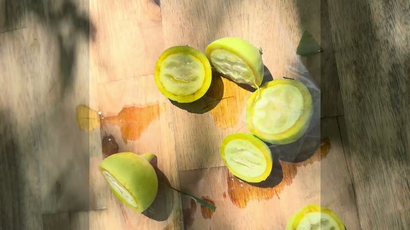 Green Black Walnuts