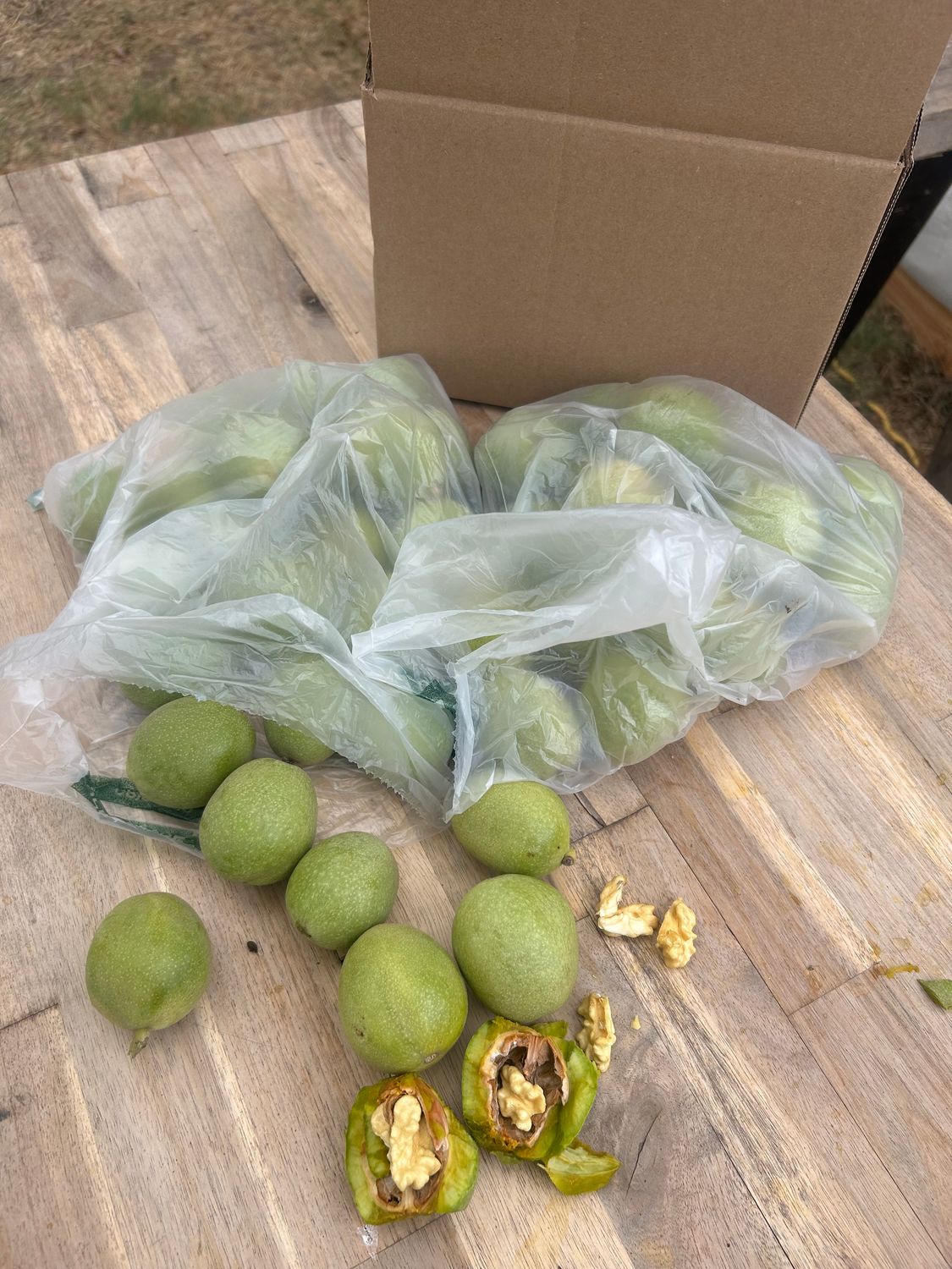 Late season green English walnuts Late season green English walnuts