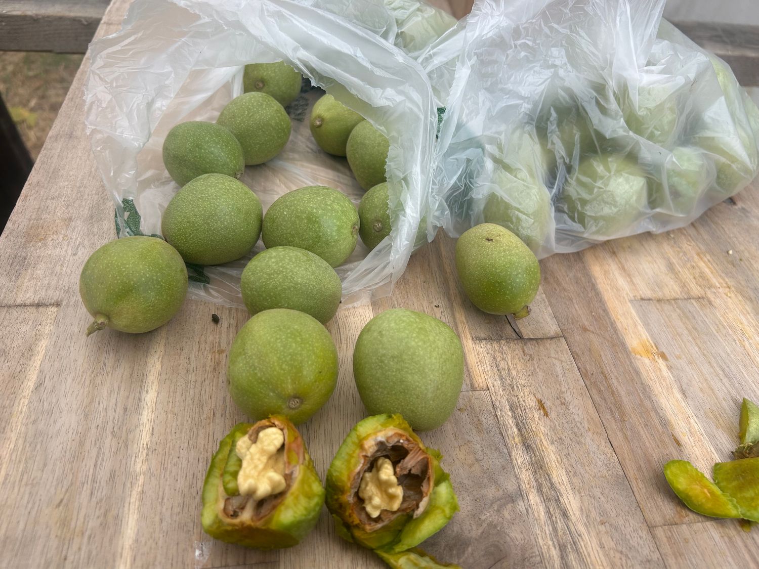 Late season green English walnuts