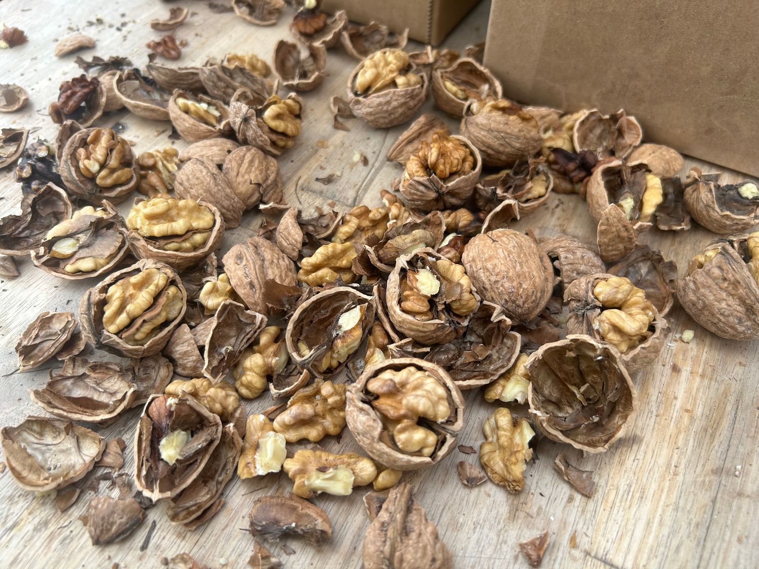 Old Fashioned Smaller Darker English Walnuts (Vina Variety) | 4lb Old Fashioned Smaller Darker English Walnuts (Vina Variety) | 4lb