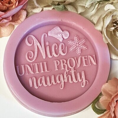 Nice Til Proven Naughty Mould Nice Til Proven Naughty Mould