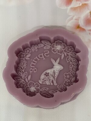 Spring Time Bunny Mould